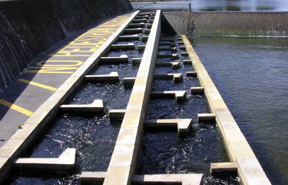 Mitigating And Managing Barriers To Fish Passage And Improving River ...